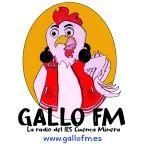 59865_Gallo FM.png